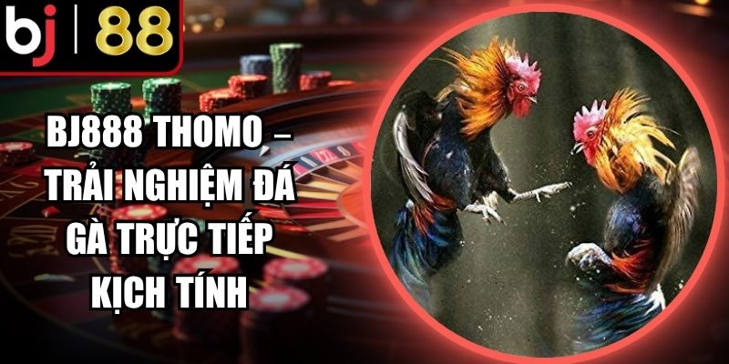 Nguồn trực tiếp từ Thomo uy tín
